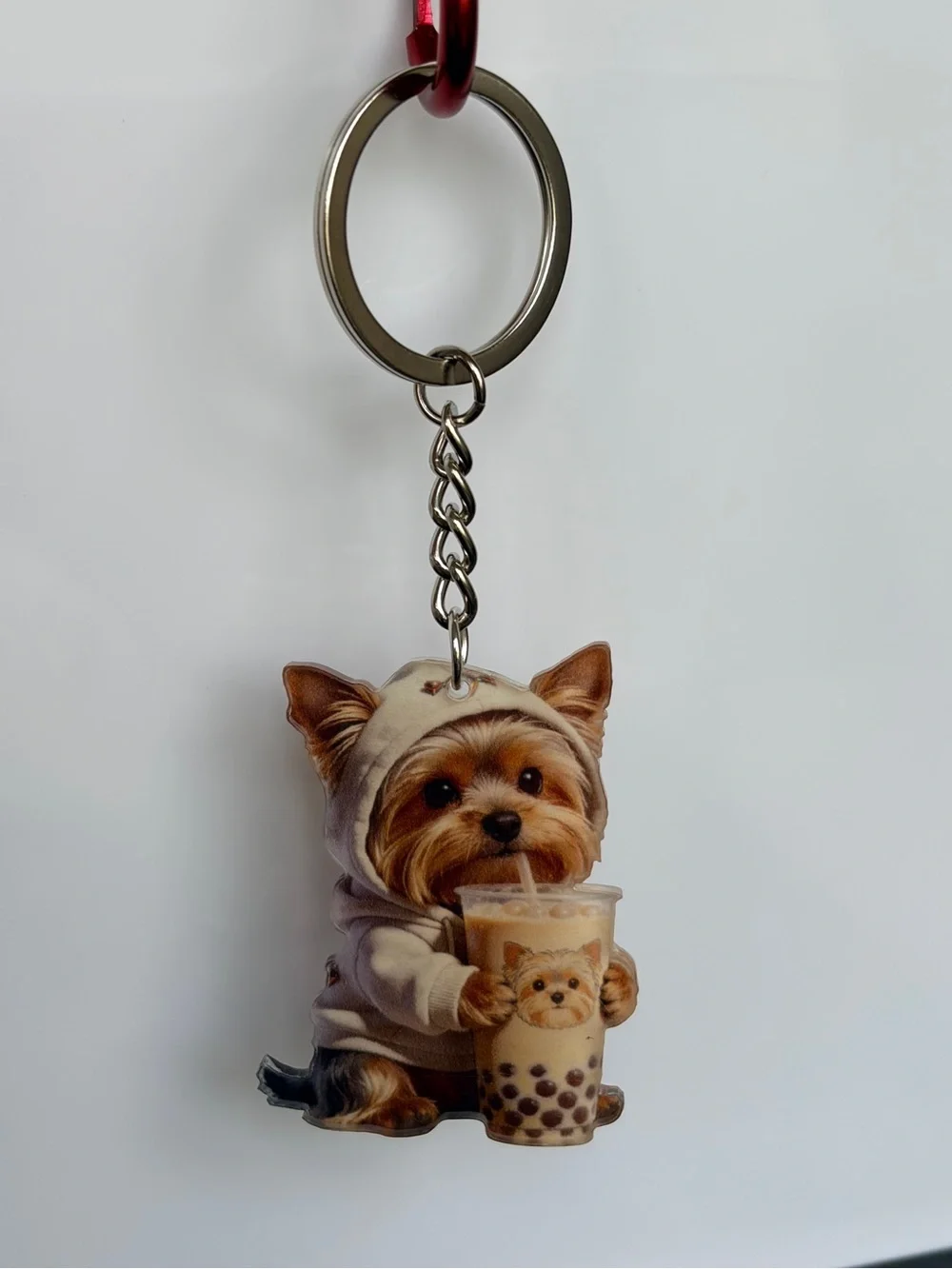 Source Unknown adorable yorkie